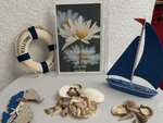 Ein Tisch mit maritimer Dekoration