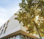 Ein Teil des Kornhasen-Gebäudes neben einem Baum bei sonnigem Wetter.